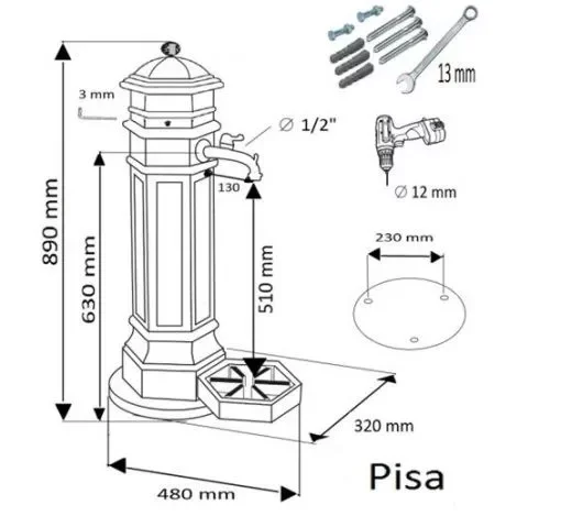 Cismea Gradina Pisa 26/08